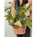 Composition de Fleurs Séchées M